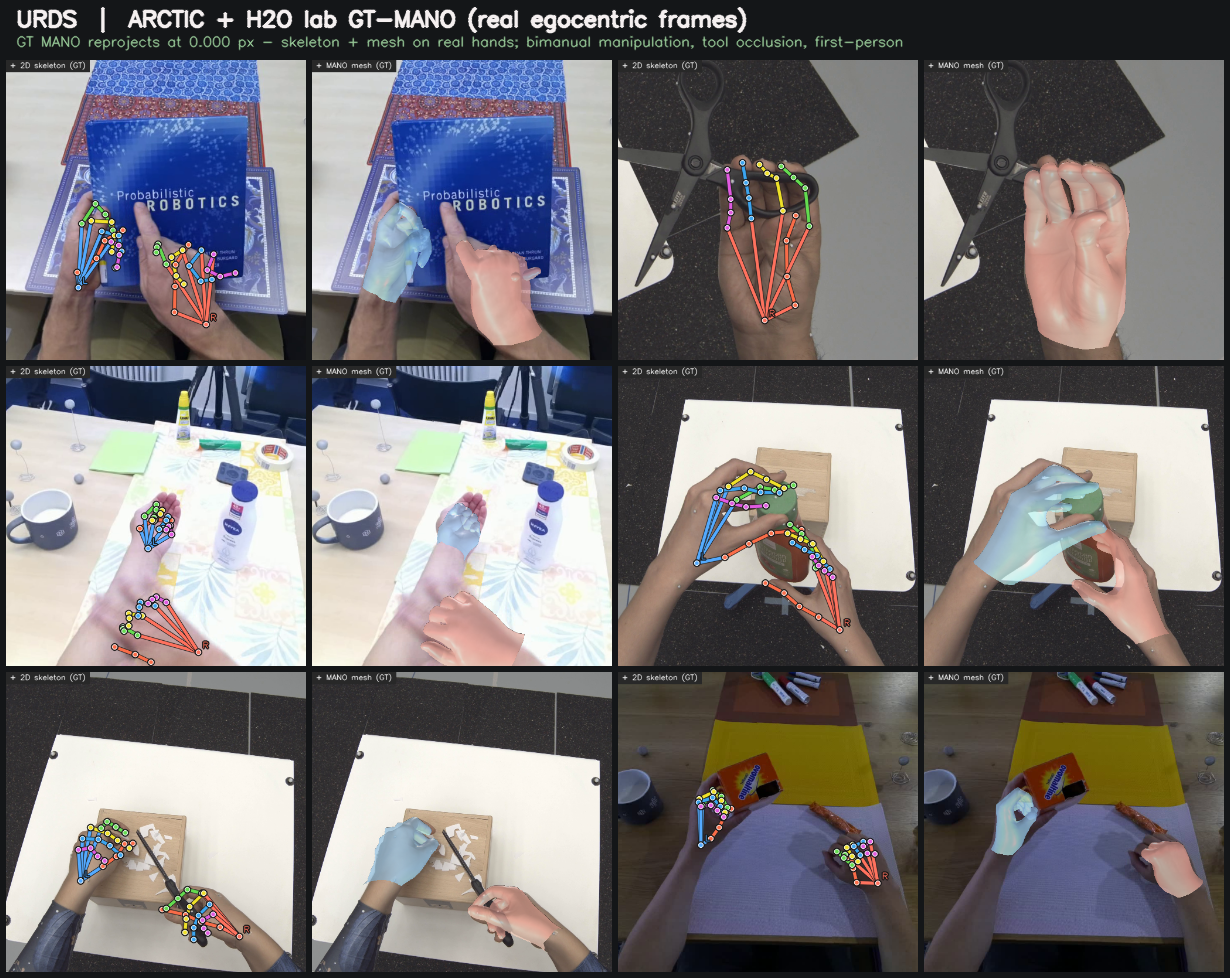 URDS — ARCTIC/H2O lab GT-MANO on real egocentric frames (2D skeleton + mesh)