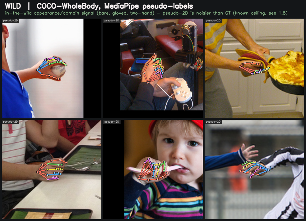 WILD — COCO-WholeBody MediaPipe pseudo-labels (2D skeleton)